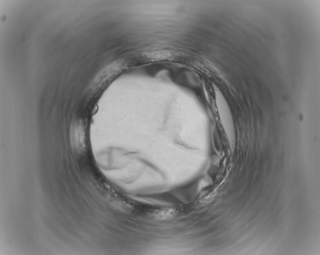 X0000070190124200606161601