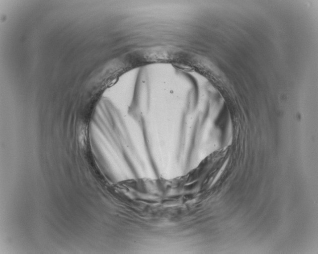 X0000070190125200606161601