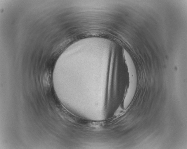 X0000070190126200606161601