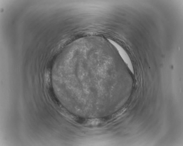 X0000070190127200606161601