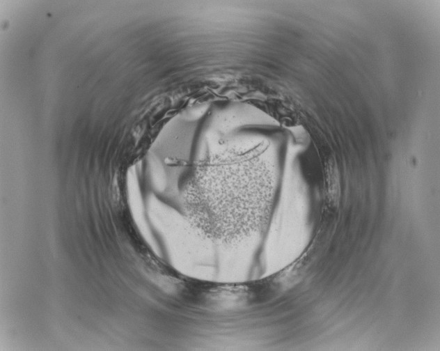 X0000070190128200606161601