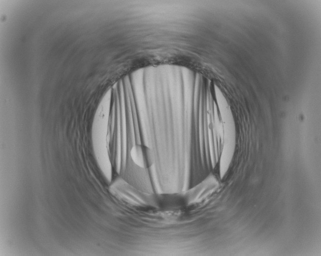 X0000070190129200606161600