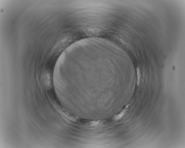 X0000070190130200606161600