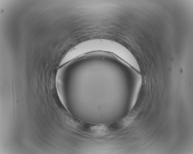 X0000070190133200606161600