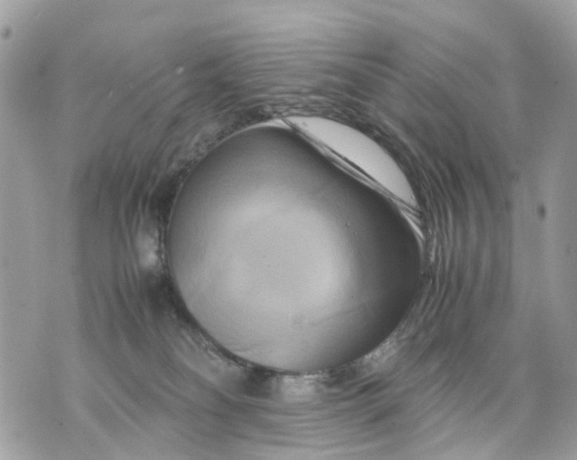 X0000070190134200606161600