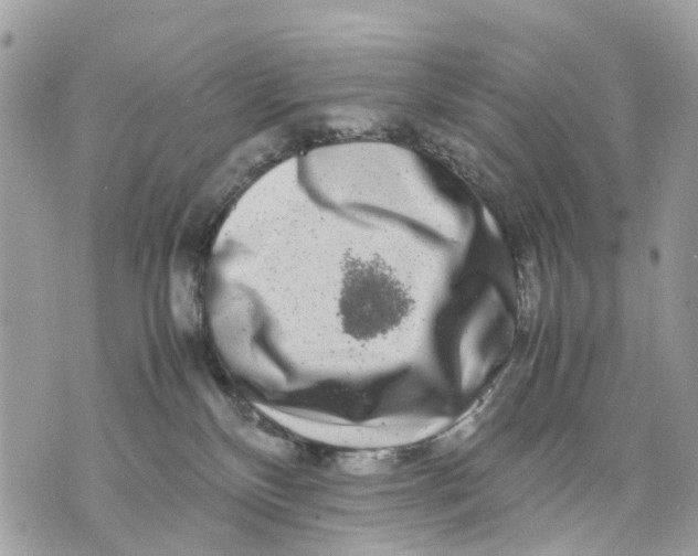 X0000070190136200606161600