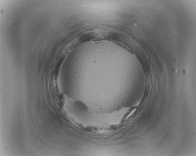 X0000070190137200606161600