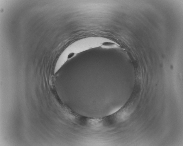 X0000070190139200606161600