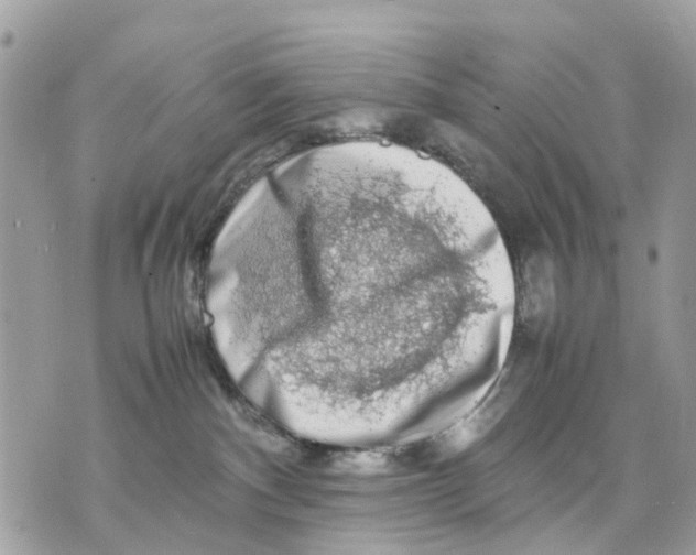 X0000070190140200606161600