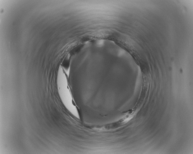 X0000070190143200606161600