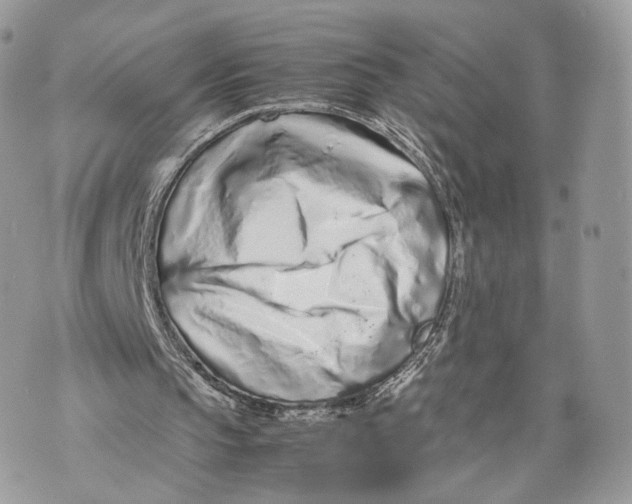 X0000070190145200606161559