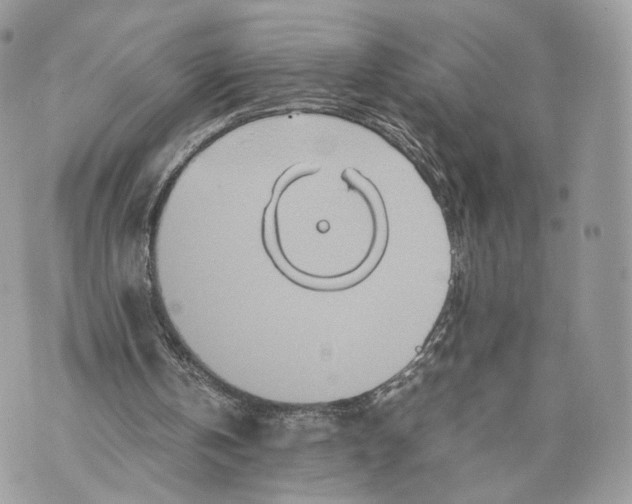 X0000070190146200606161559