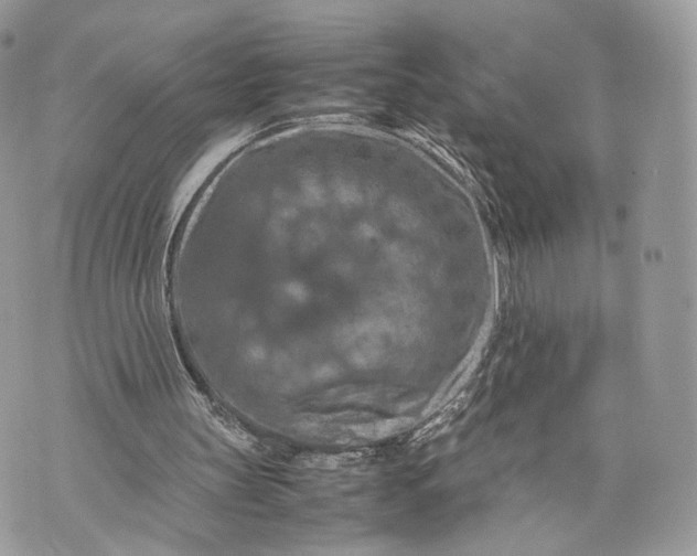 X0000070190147200606161559