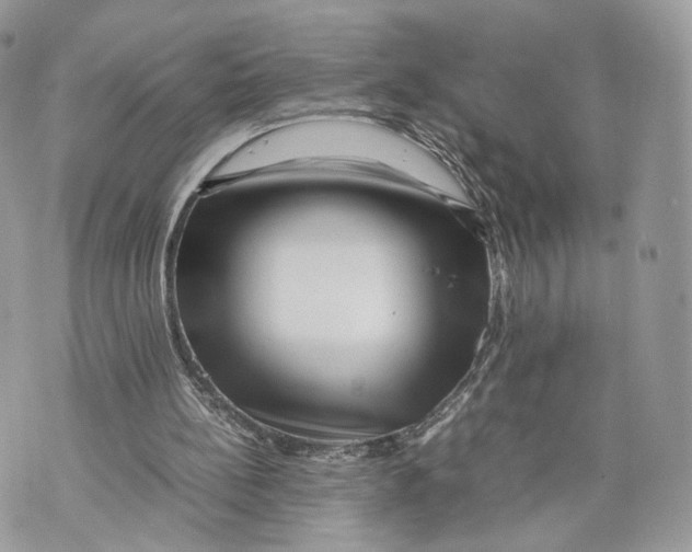 X0000070190148200606161600