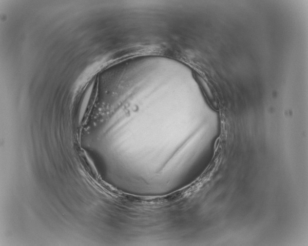 X0000070190149200606161600