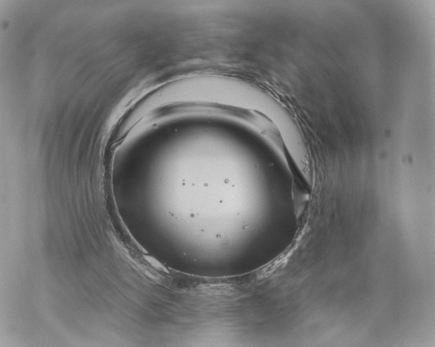 X0000070190150200606161600