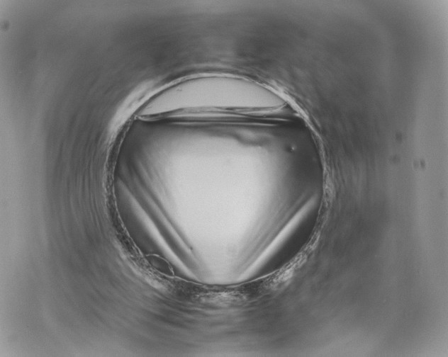 X0000070190151200606161600