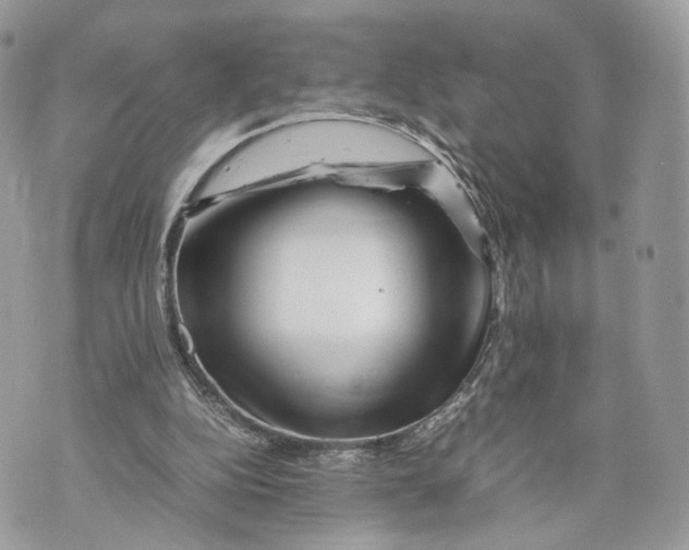 X0000070190152200606161600