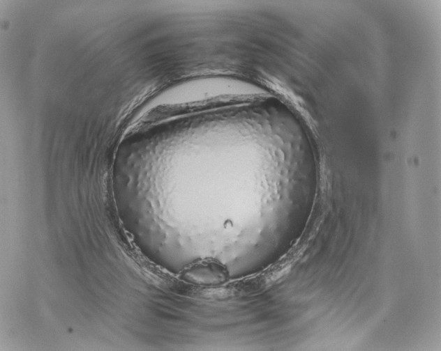 X0000070190153200606161600