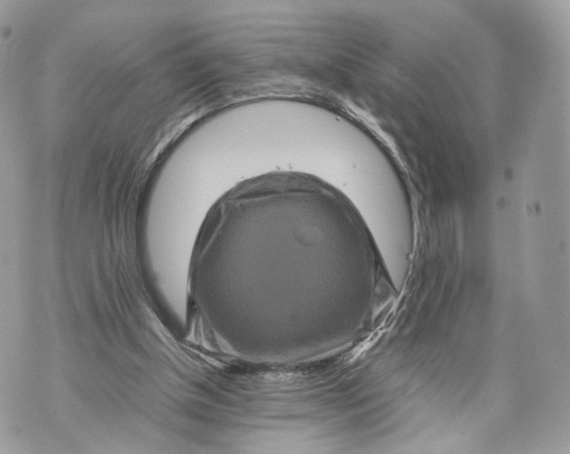 X0000070190154200606161600