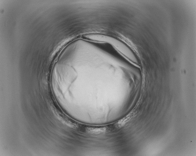 X0000070190155200606161600