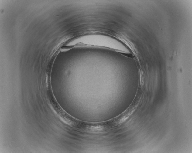 X0000070190157200606161600