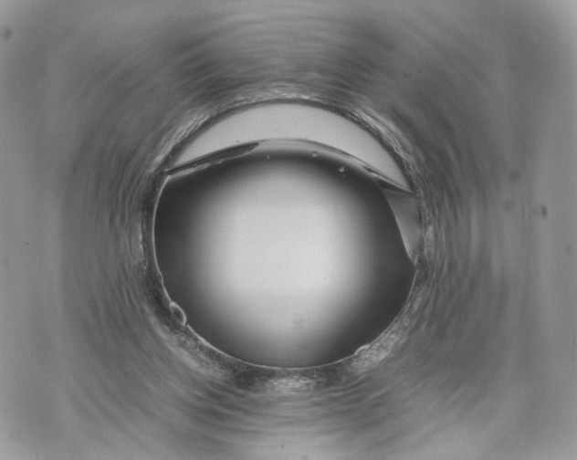 X0000070190158200606161600