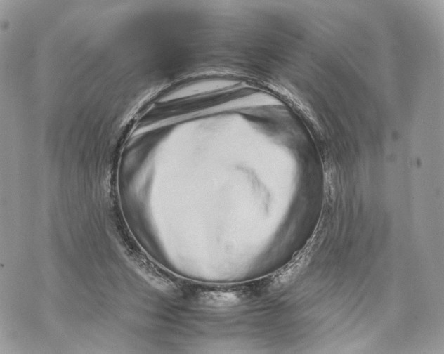 X0000070190159200606161600