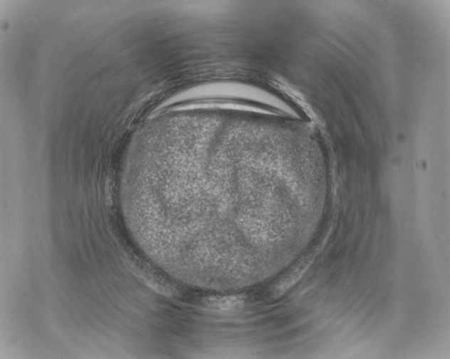 X0000070190161200606161600