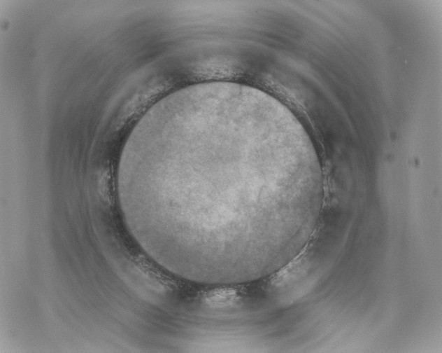 X0000070190162200606161600