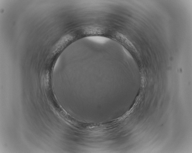 X0000070190163200606161600