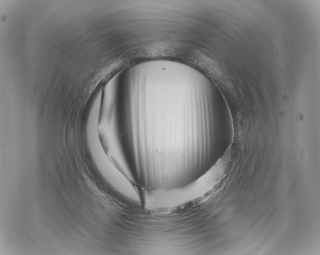 X0000070190164200606161600