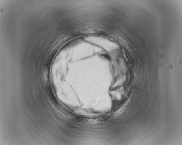 X0000070190166200606161600