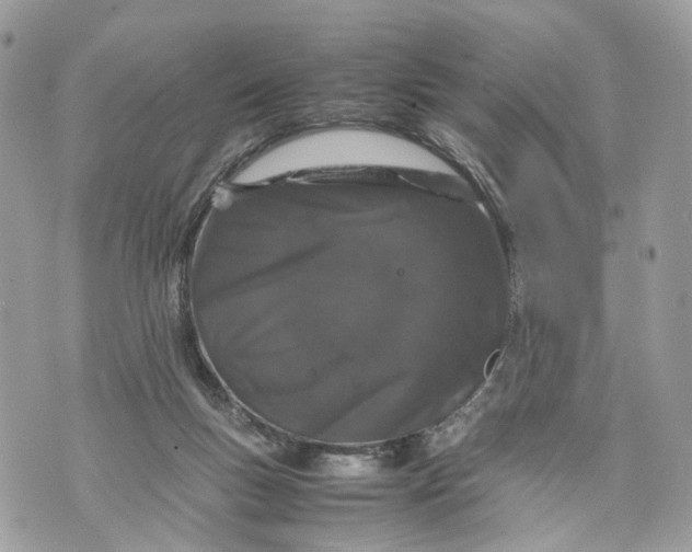 X0000070190167200606161600