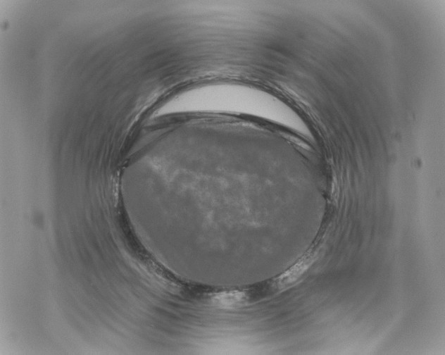 X0000070190168200606161600