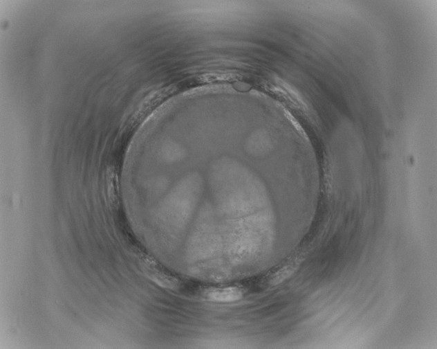 X0000070190169200606161600