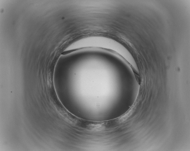 X0000070190170200606161600