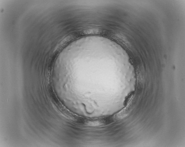 X0000070190171200606161600