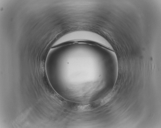 X0000070190172200606161600