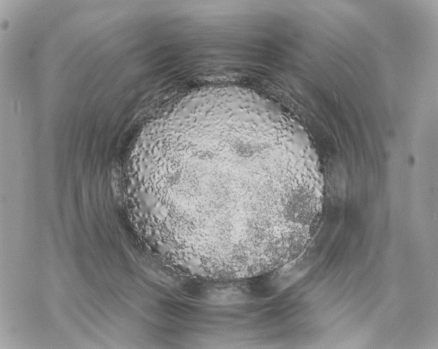 X0000070190175200606161600