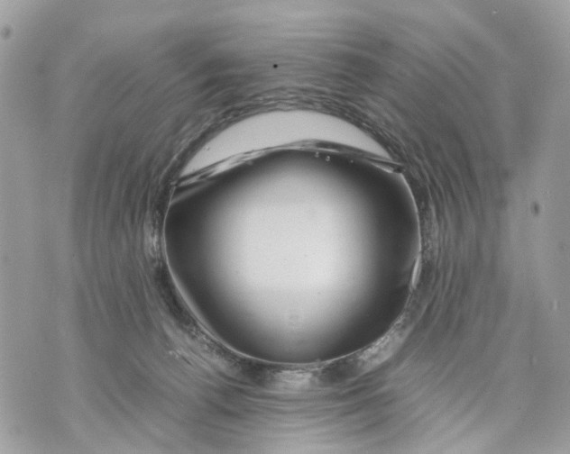 X0000070190176200606161600