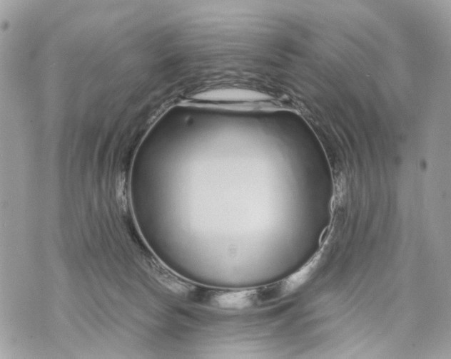 X0000070190178200606161600