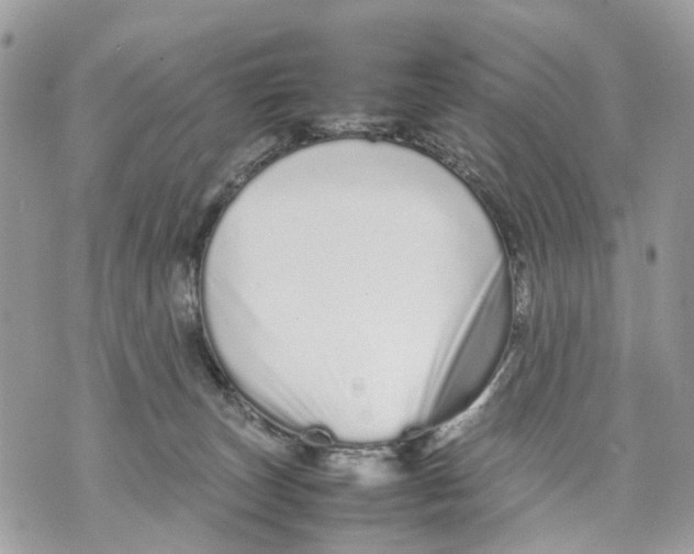 X0000070190179200606161600