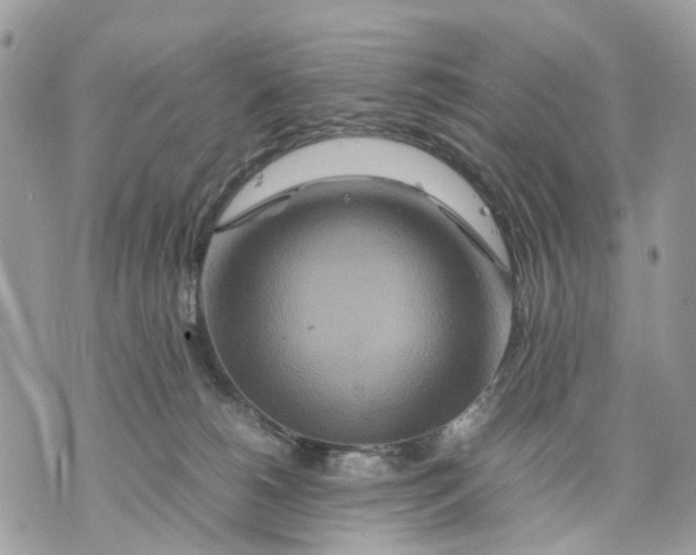 X0000070190180200606161600