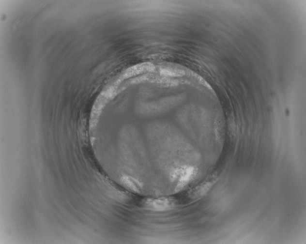 X0000070190181200606161600