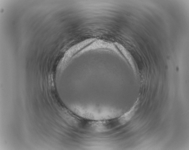 X0000070190182200606161600