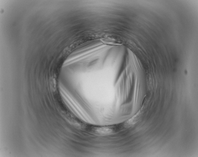 X0000070190183200606161600