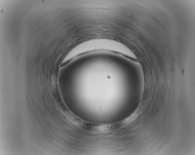 X0000070190184200606161600