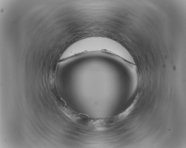 X0000070190186200606161600