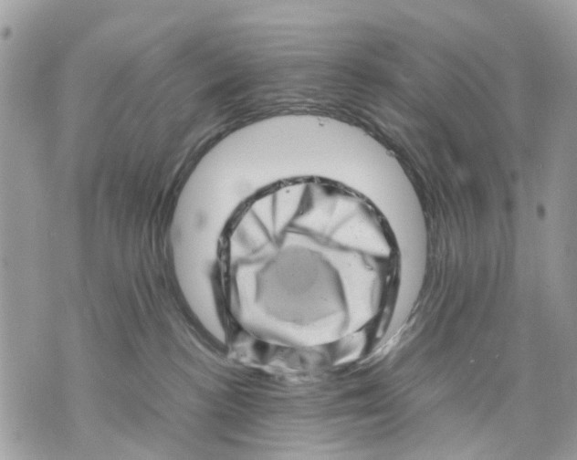 X0000070190188200606161600